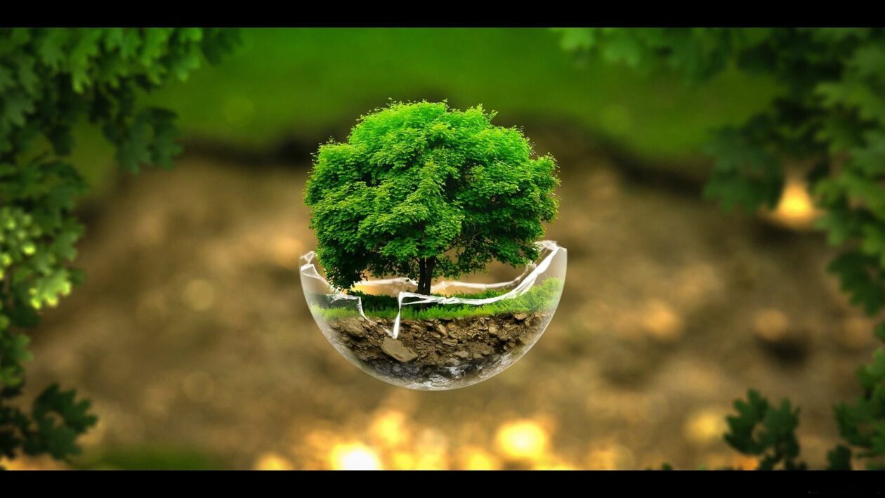 A. Proctor Group meets milestone sustainability target one year early cover image
